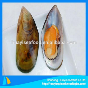 frozen half shell mussel fresh seafood for sale